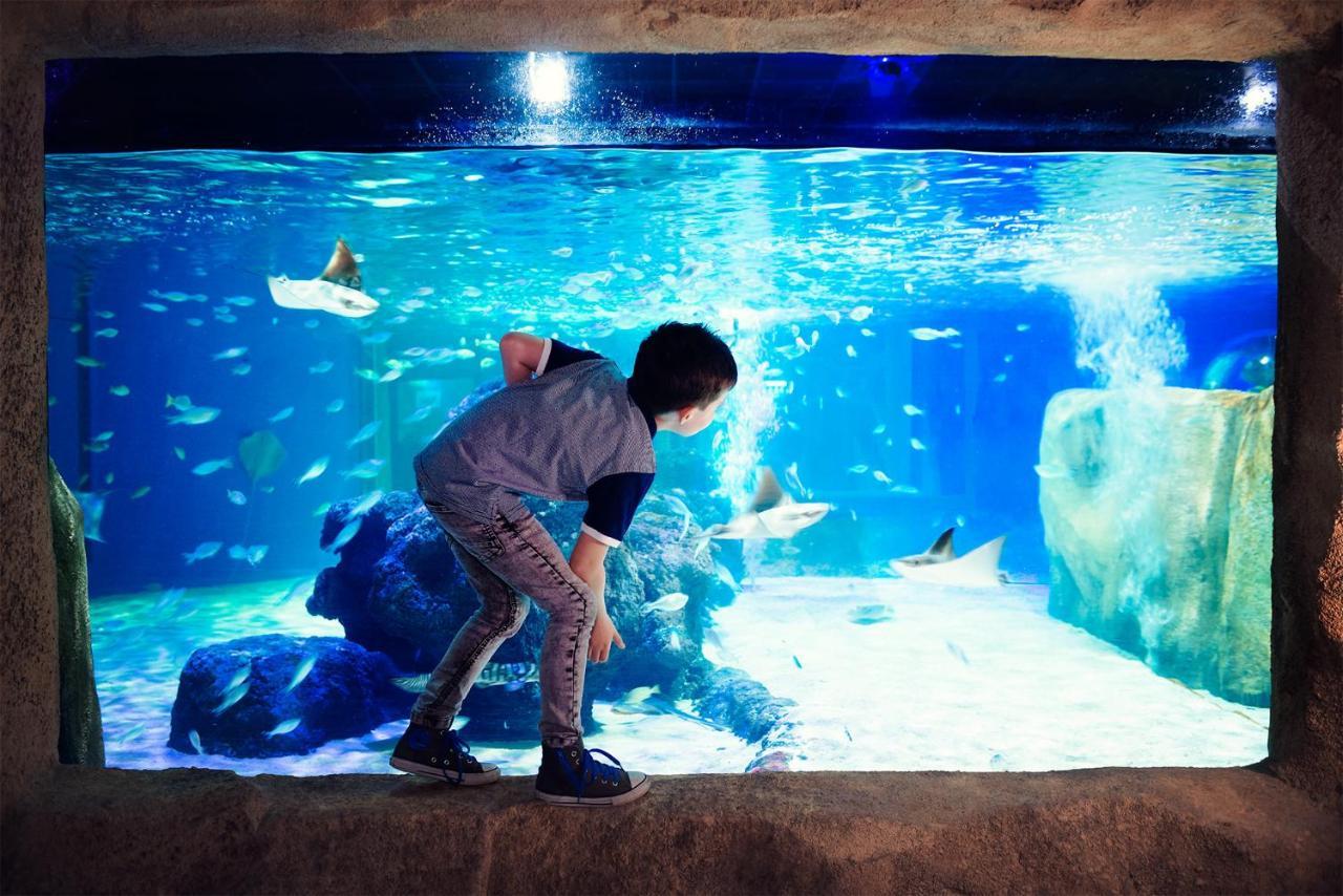 White Moon Hotel Blackpool Ngoại thất bức ảnh